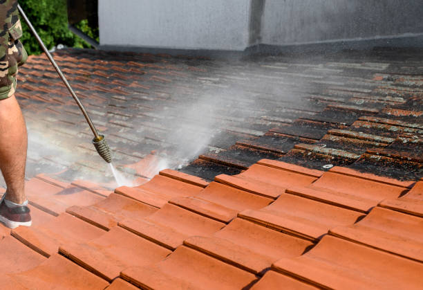 Best Pressure Washing Patio  in Park Center, CO